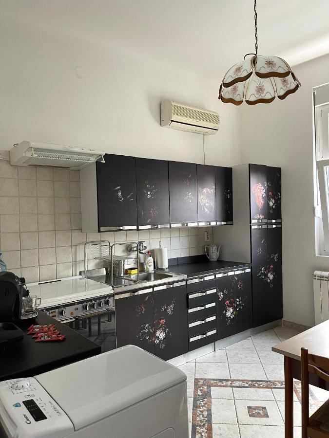 Ferienwohnung Apartman Alba Belgrad Exterior foto